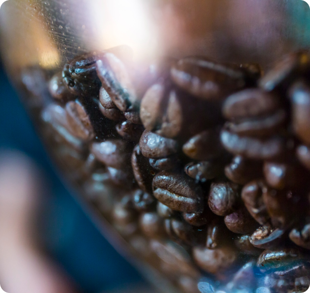 Close-up view of glossy coffee beans displayed in a clear glass, highlighting their rich texture and color.