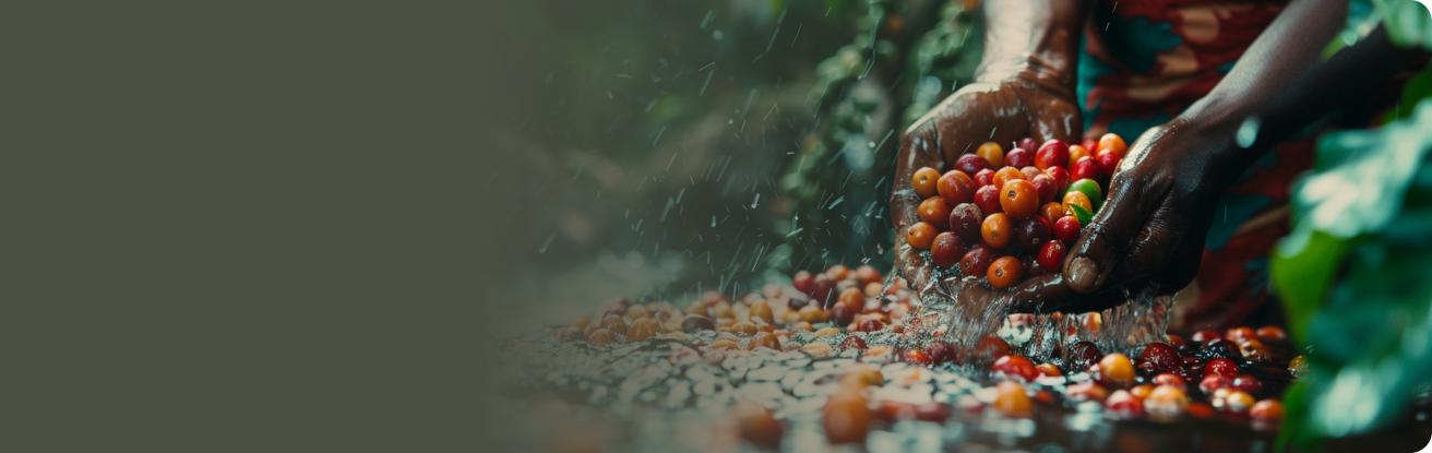 Homeland Coffee Image Banner